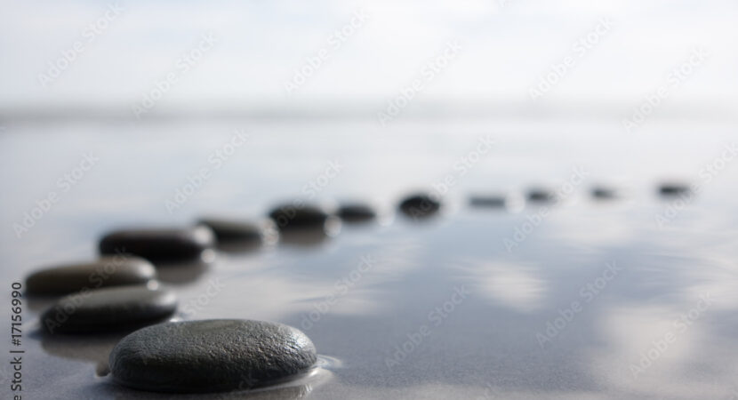 AdobeStock_17156990_Preview