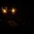 night, sparks, hand, holding, sparkler, christmas, glowing, sparkle, shiny, magic, xmas, bokeh, dark, black bokeh, black magic, sparkler, sparkler, sparkler, sparkler, sparkler, black bokeh-3103422.jpg