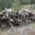 cabin wood pile