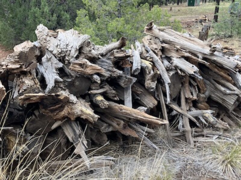 cabin wood pile