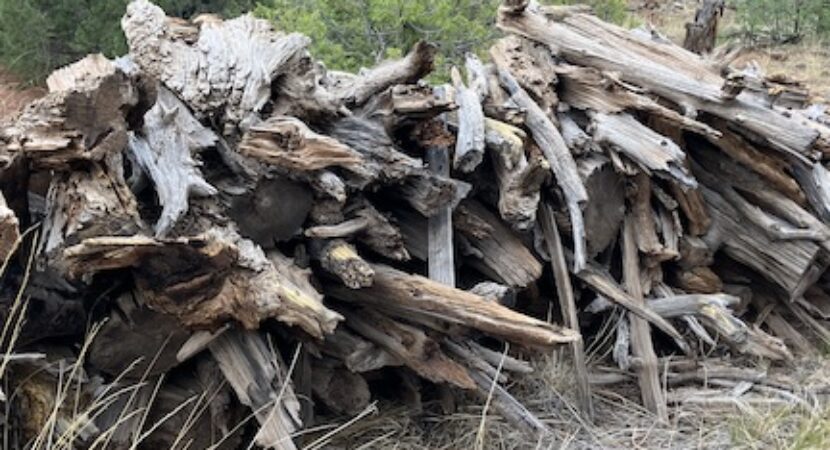 cabin wood pile